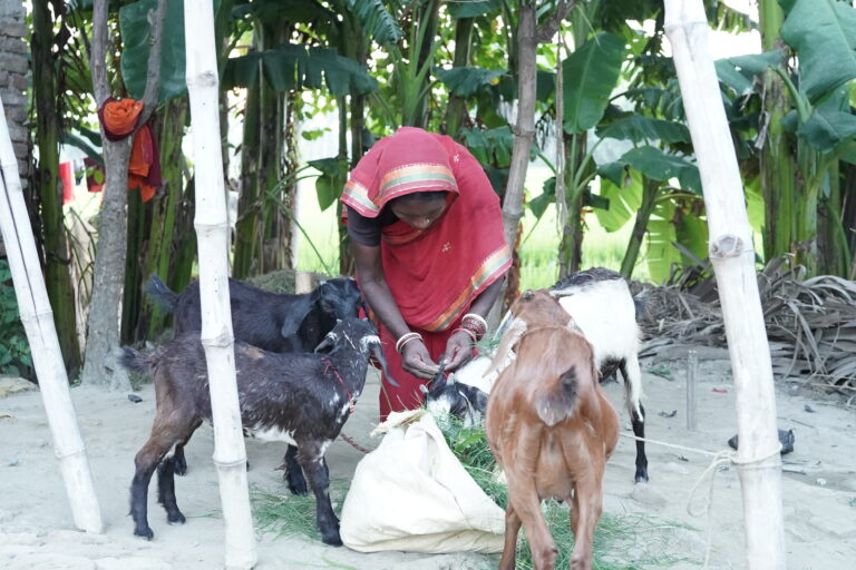 Homepage slide photo 2